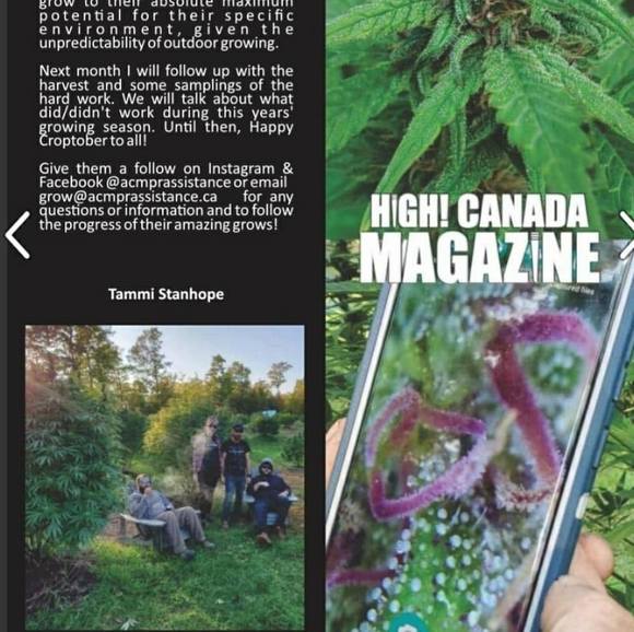 Meet your Posher, Joshua - Picture 1 of 1